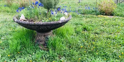 Ein Garten an der Unterkunft Ferienwohnung Feldmann