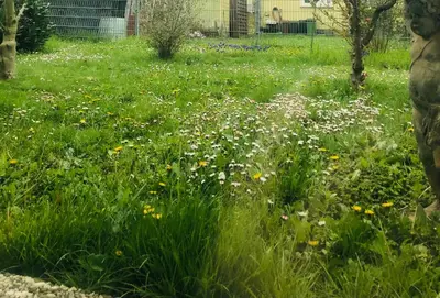 Ein Garten an der Unterkunft Ferienwohnung Feldmann