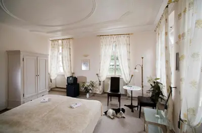 Grundriss der Unterkunft Hotel Goldener Hecht