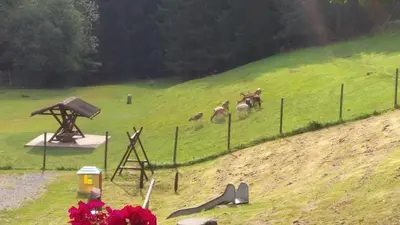 Ein Garten an der Unterkunft Hotel-Restaurant Jägerhof