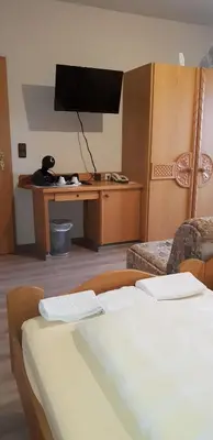 TV/Unterhaltungsangebot in der Unterkunft Hotel Paelzer Buwe