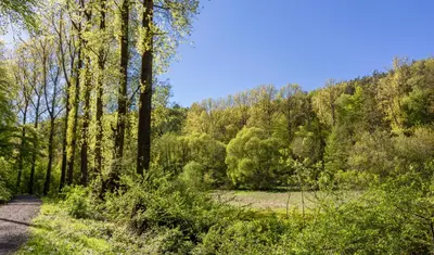 Naturlandschaft in der Nähe der Ferienwohnung