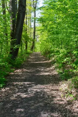 Naturlandschaft in der Nähe der Ferienwohnung
