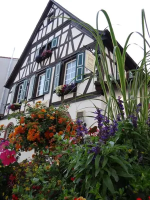 Ein Garten an der Unterkunft Hotel Schützenhof mit Wellness