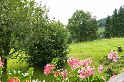 Ein Garten an der Unterkunft Gasthof & Landhotel Ohrnbachtal