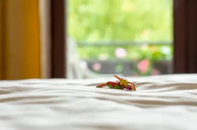Ein Bett oder Betten in einem Zimmer der Unterkunft Gasthof & Landhotel Ohrnbachtal