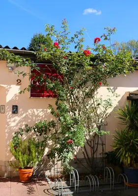 Ein Garten an der Unterkunft Casa Hotel Neu-Isenburg