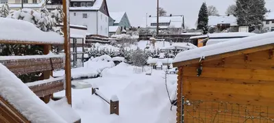Waldhorn Dobel im Winter