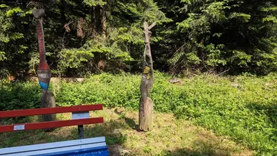 Ein Garten an der Unterkunft Waldhorn Dobel