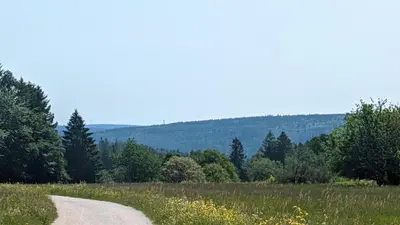Naturlandschaft in der Nähe des Ferienhauses