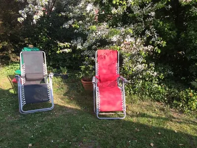 Ein Garten an der Unterkunft schones Zimmer in Gimmeldingen/ Konigsbach