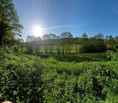 Naturlandschaft in der Nähe des Hotels