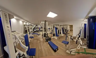 Das Fitnesscenter und/oder die Fitnesseinrichtungen in der Unterkunft Hotel Platzhirsch