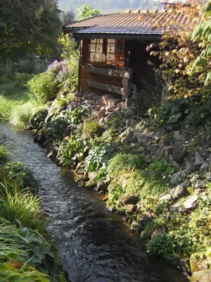 Ein Garten an der Unterkunft Ferienhütte Stephanie