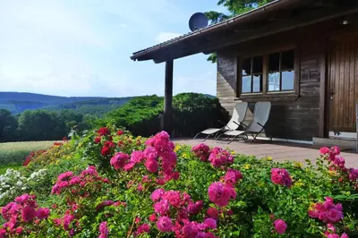 Ein Garten an der Unterkunft Ellernhof im Spessart