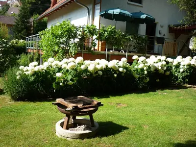 Ein Garten an der Unterkunft Haus am Sandsteinbruch