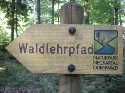 Naturlandschaft in der Nähe der Pension