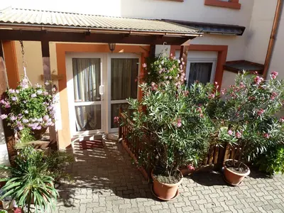Ein Garten an der Unterkunft Ferienwohnung Vino Palatina
