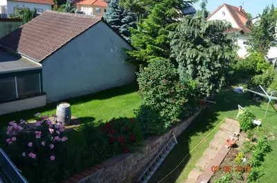 Ein Garten an der Unterkunft Ferienhaus - Kern