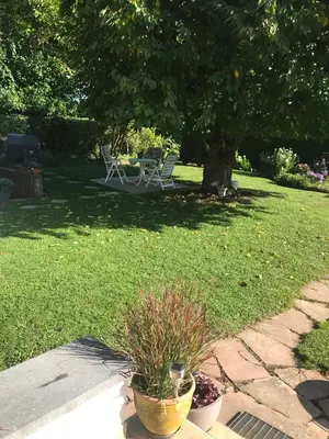Ein Garten an der Unterkunft Ferienwohnung Baier