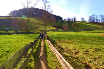 Naturlandschaft in der Nähe des Hotels
