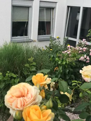Ein Garten an der Unterkunft Ernst-Ludwig-Promenade