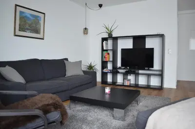 TV/Unterhaltungsangebot in der Unterkunft Apartment Pfungstadt