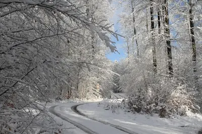 Ferienwohnung Schlierbachtal im Winter