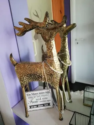 Tiere in der Pension oder in der Nähe