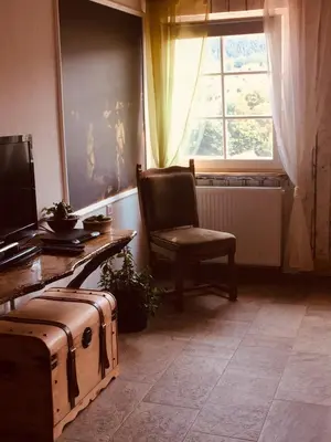 TV/Unterhaltungsangebot in der Unterkunft Natur und Neckarblick bei Heidelberg