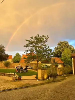 Ein Garten an der Unterkunft Klosterhof Weingut BoudierKoeller