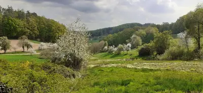 Naturlandschaft in der Nähe des Ferienhauses