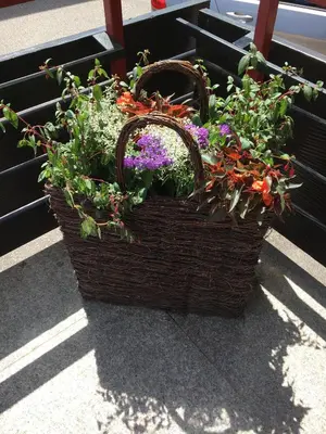 Ein Garten an der Unterkunft Café Blaich - Hotel Garni