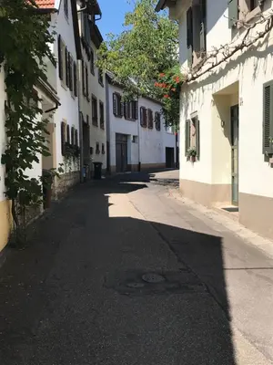 Die Umgebung um die Ferienwohnung