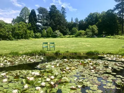 Ein Garten an der Unterkunft Büdinger Hof