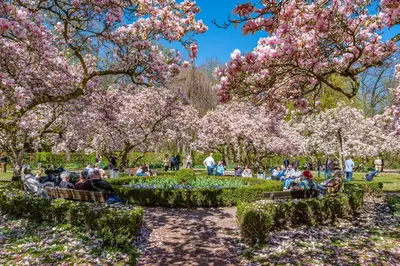 Ein Garten an der Unterkunft Hotel Zum Goldenen Ochsen am Schlossgarten