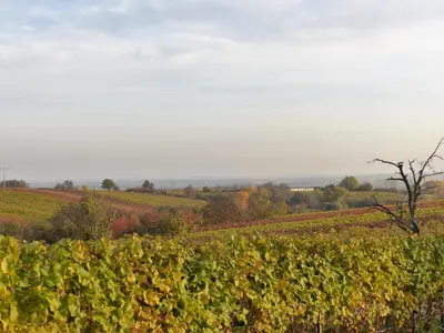 Naturlandschaft in der Nähe der Ferienwohnung