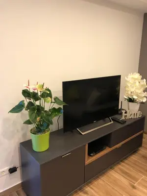 TV/Unterhaltungsangebot in der Unterkunft Sinsheim Unterkunft