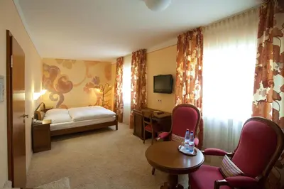 TV/Unterhaltungsangebot in der Unterkunft Hotel Karpfen