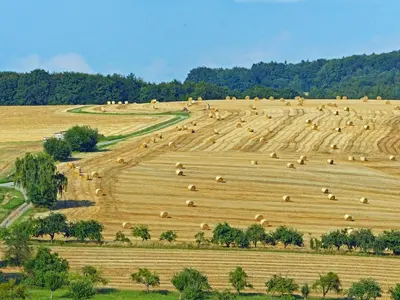 Naturlandschaft in der Nähe der Pension