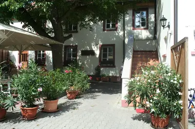 Ein Garten an der Unterkunft Hotel - Ristorante La Grotta