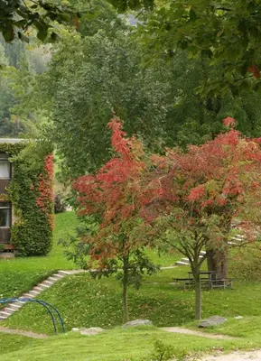 Ein Garten an der Unterkunft Talblick Appartement in traumhafter Lage!