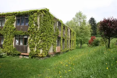 Ein Garten an der Unterkunft Talblick Appartement in traumhafter Lage!
