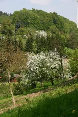 Naturlandschaft in der Nähe des Gasthauses