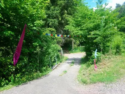 Naturlandschaft in der Nähe des Bed & Breakfasts