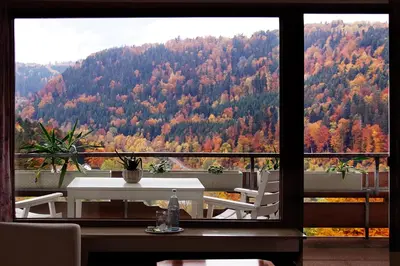 Naturlandschaft in der Nähe des Hotels