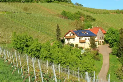 Naturlandschaft in der Nähe der Ferienwohnung
