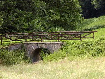 Naturlandschaft in der Nähe der Ferienwohnung