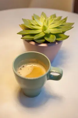 Kaffee-/Teezubehör in der Unterkunft Modernes Studio im Herzen von Neustadt: PfalzLiebe
