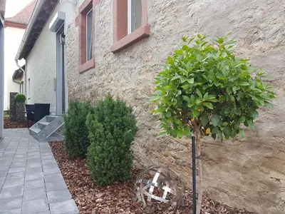 Ein Garten an der Unterkunft A&M Apartment Ahorn/Hohenstadt